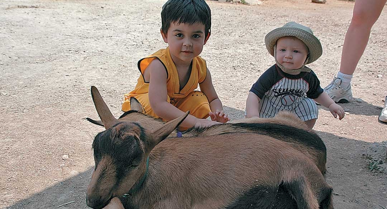 Parky's Water Playgrounds