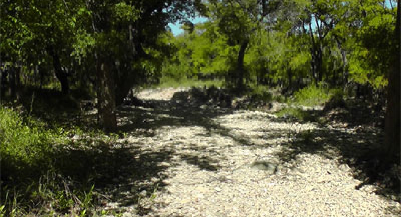 Riverwalk - Dr John Sutterby