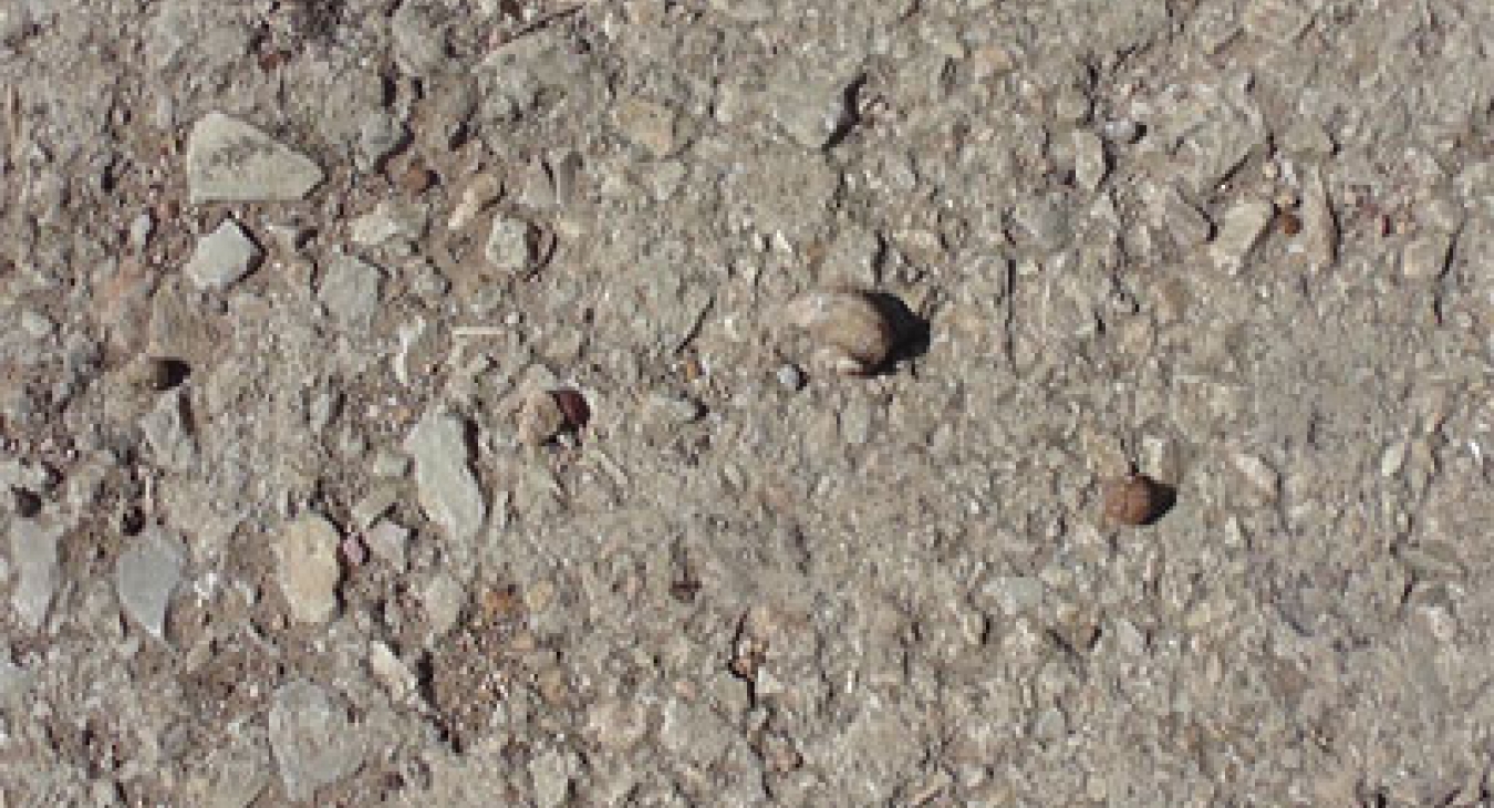 Riverwalk - Dr John Sutterby