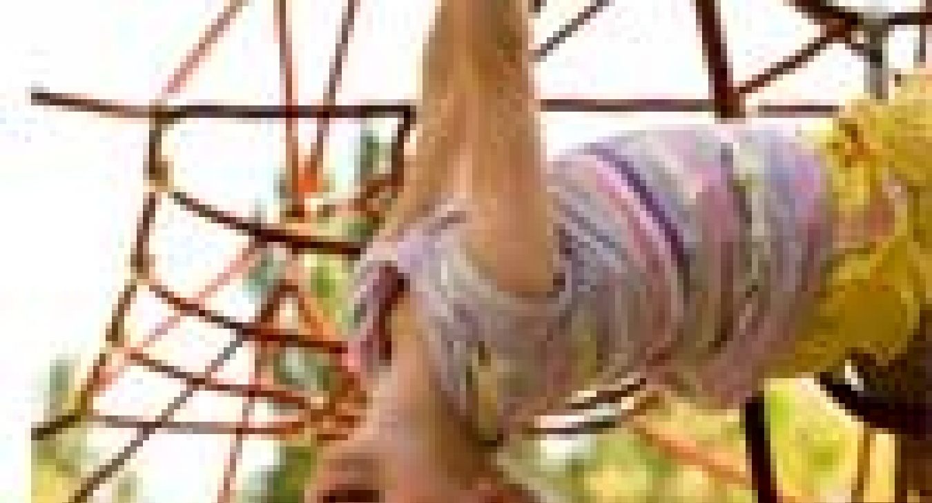 Fall safety standards