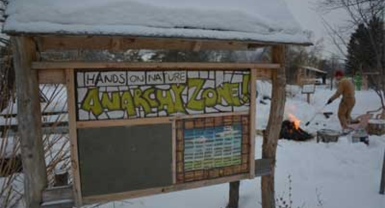 Anarchy Zone Fire and Ice Event