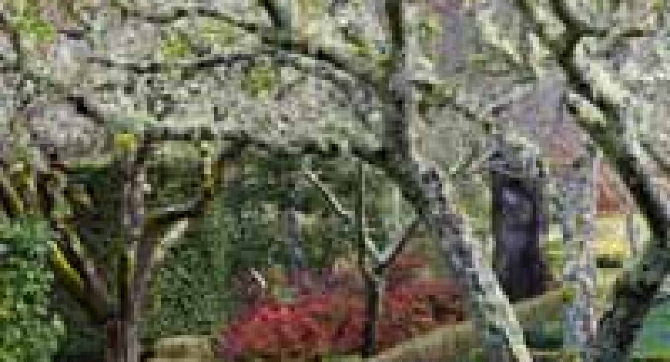 Outdoor play - via Modernize