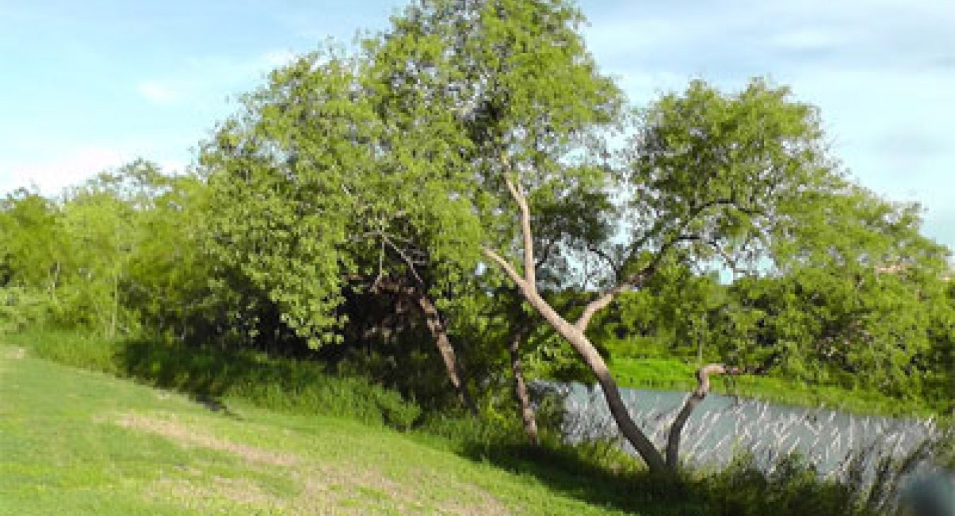 If you build it, they will climb - Dr. John Sutterby