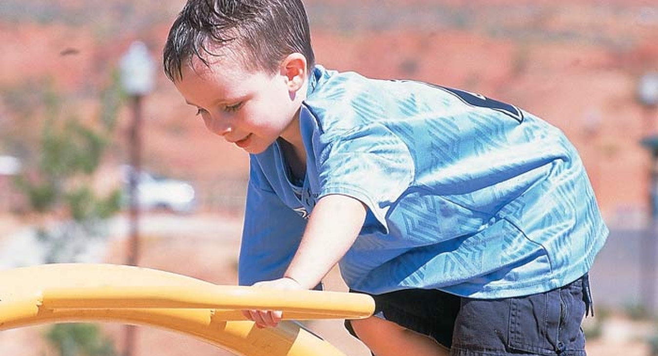 NPPS Focus: Playground Users