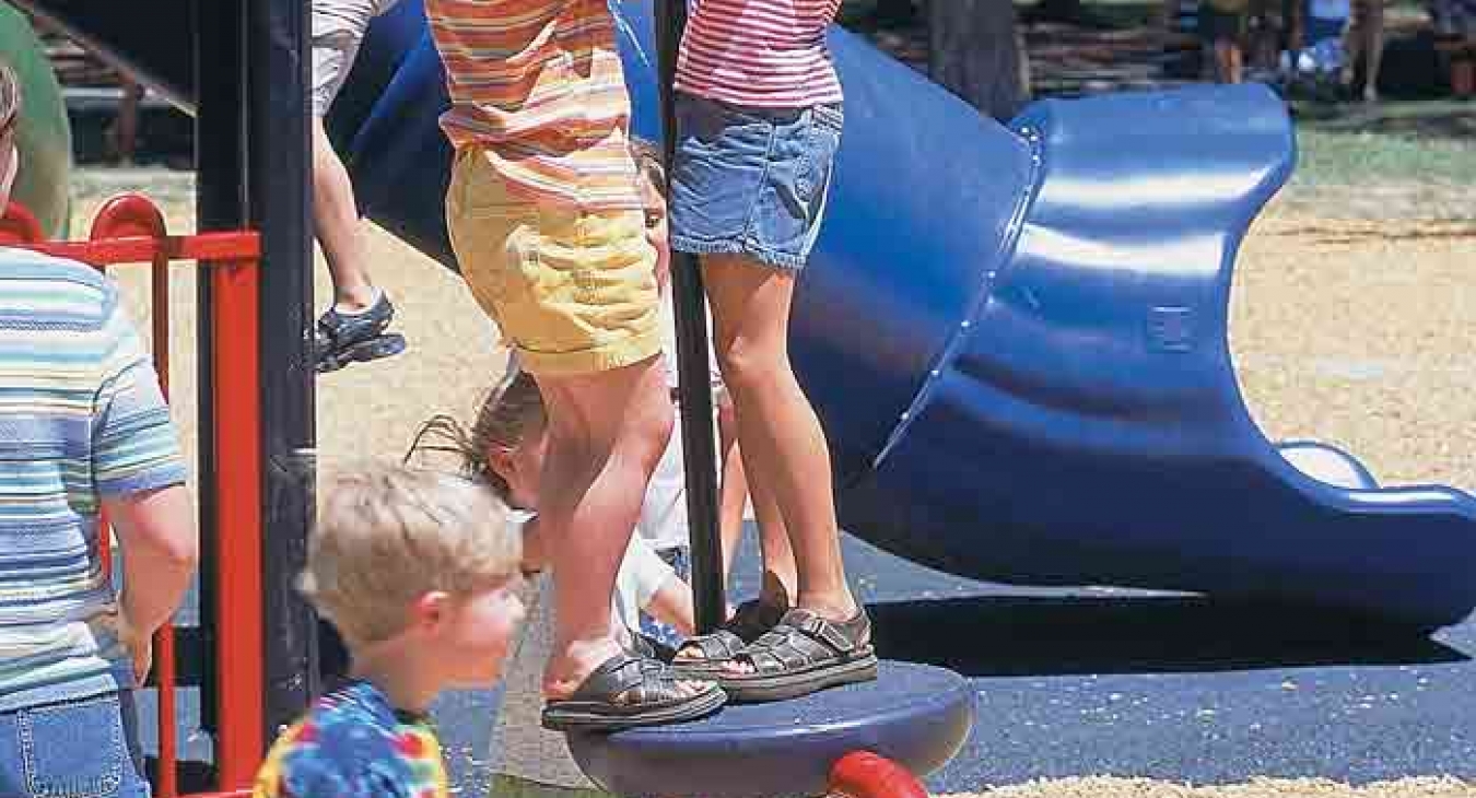 The National Playground Safety Institute (NPSI)