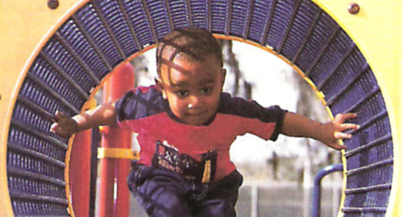 Brain Structure and Critical Periods