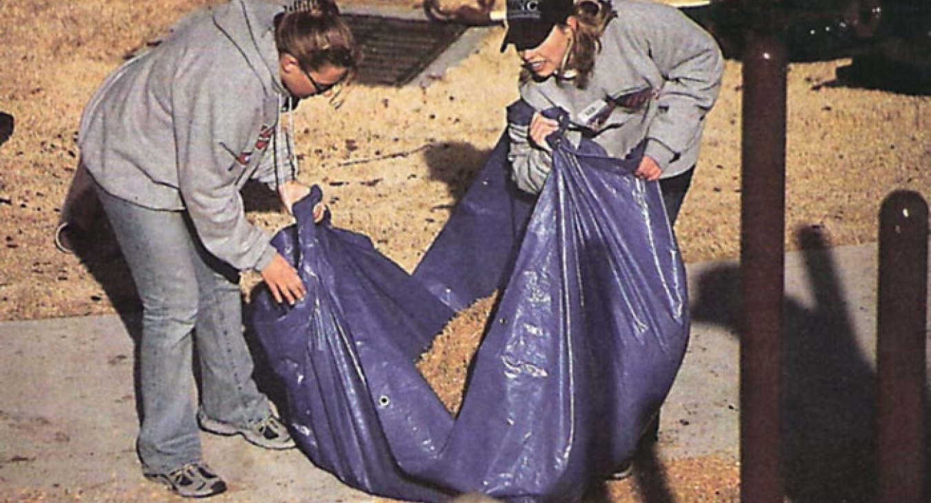 Engineered Wood Surfacing