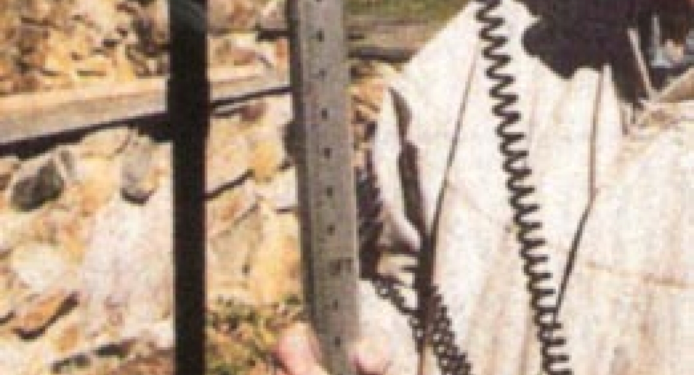 Putting the Triax 2000 to the Test