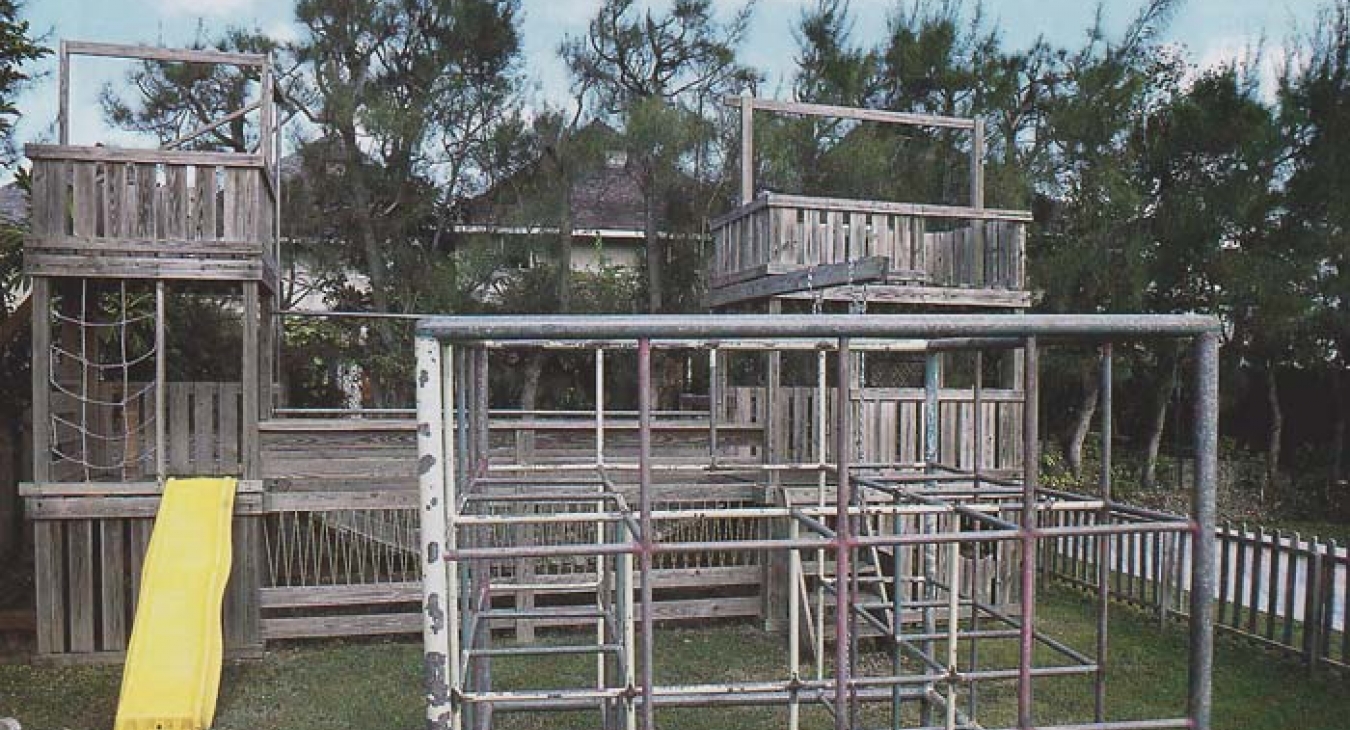 Education is Critical in Working with Playground Stewards