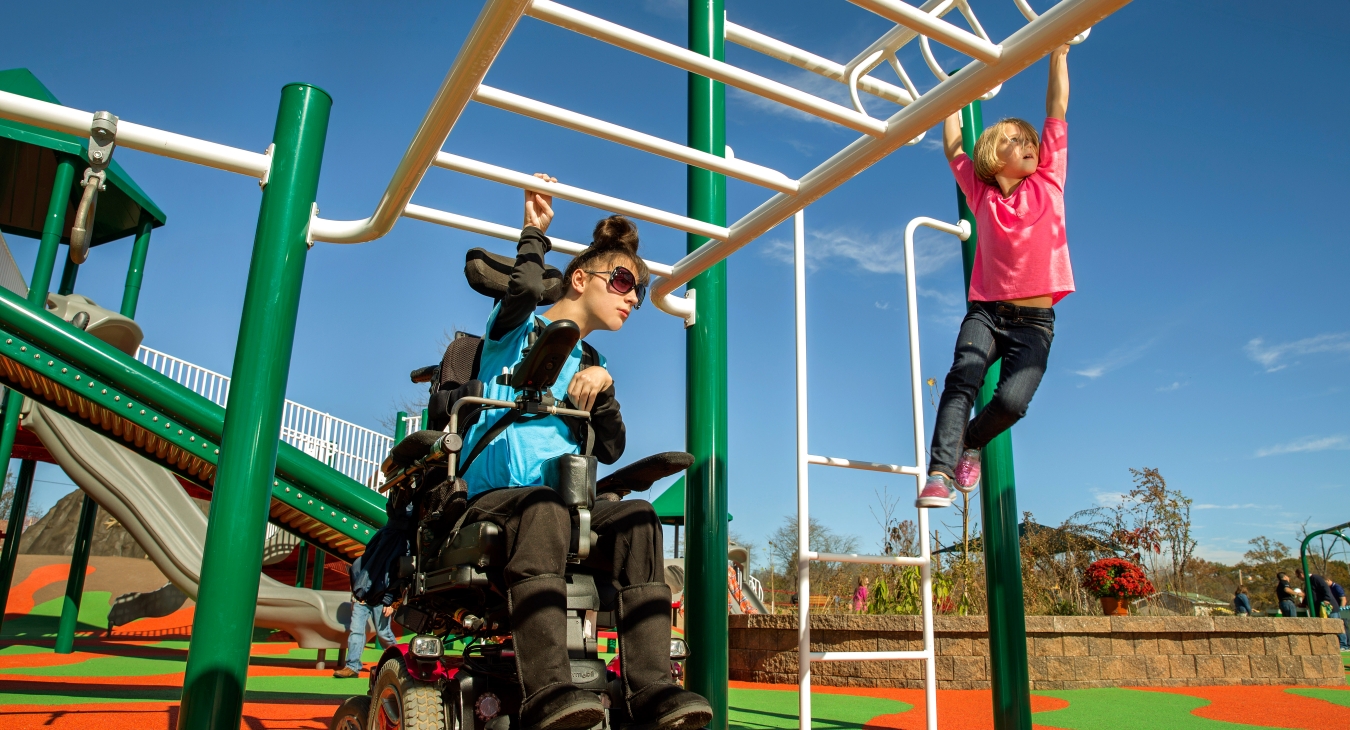Equitable upper body climbing activities are illustrated in these side by side play elements. Close proximity is key.