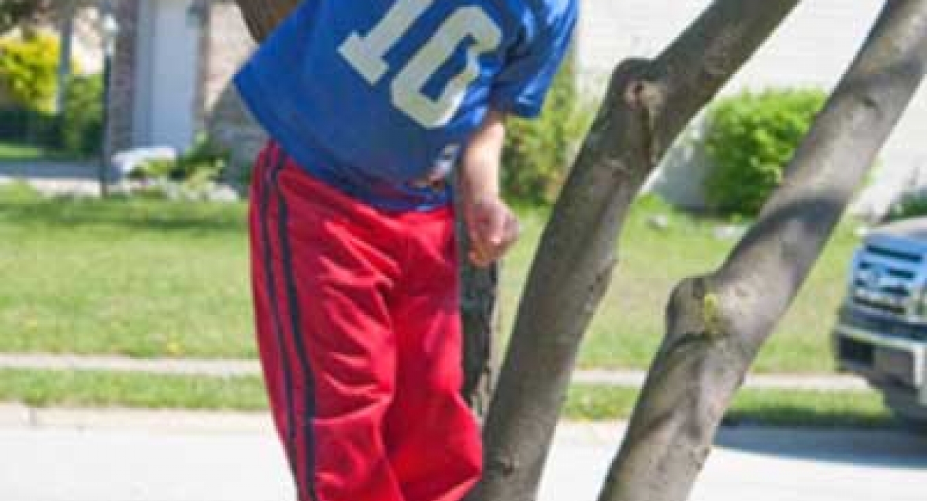 Beyond Swings, Spinners, and Slides