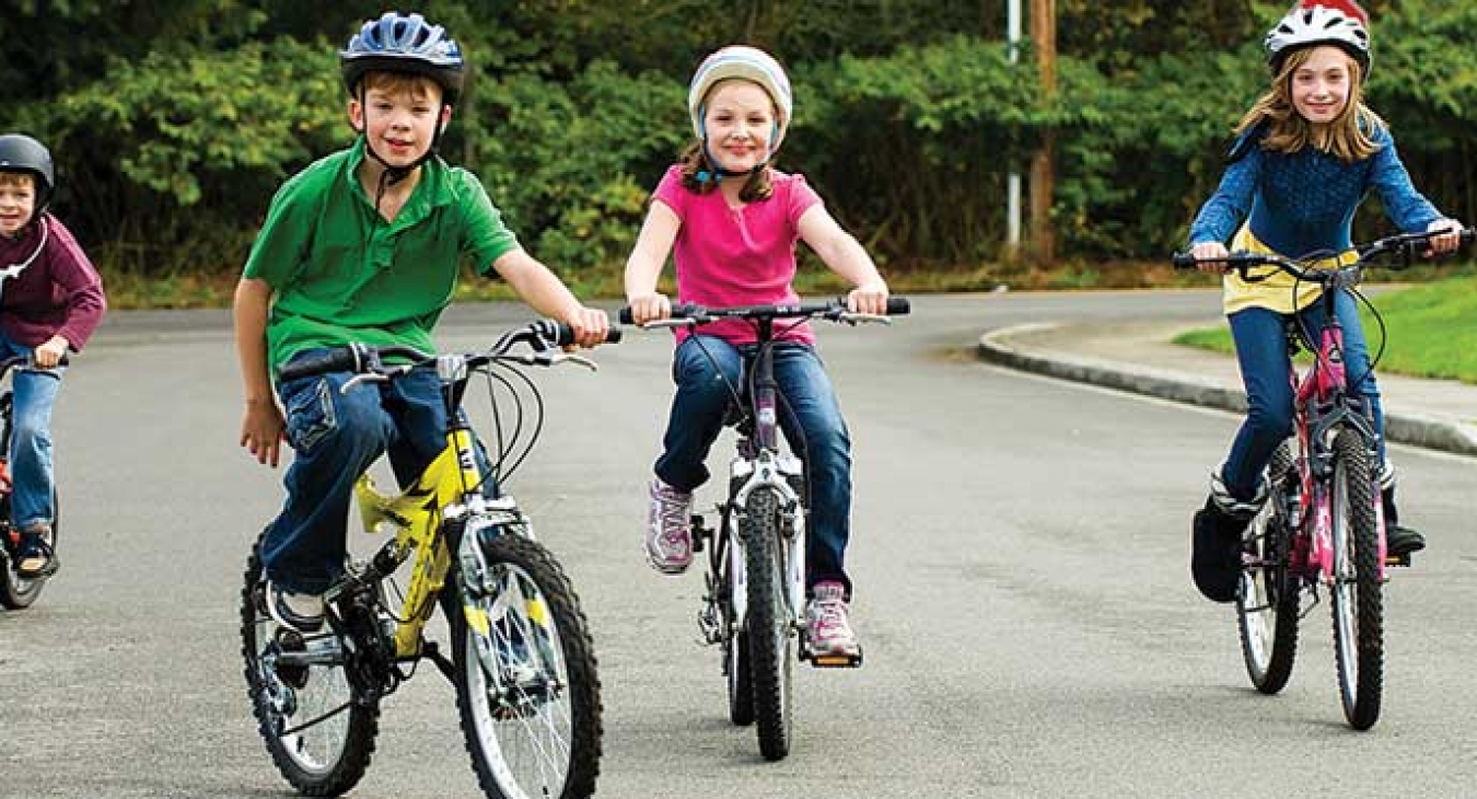 Reference of Sports and Fitness Organizations