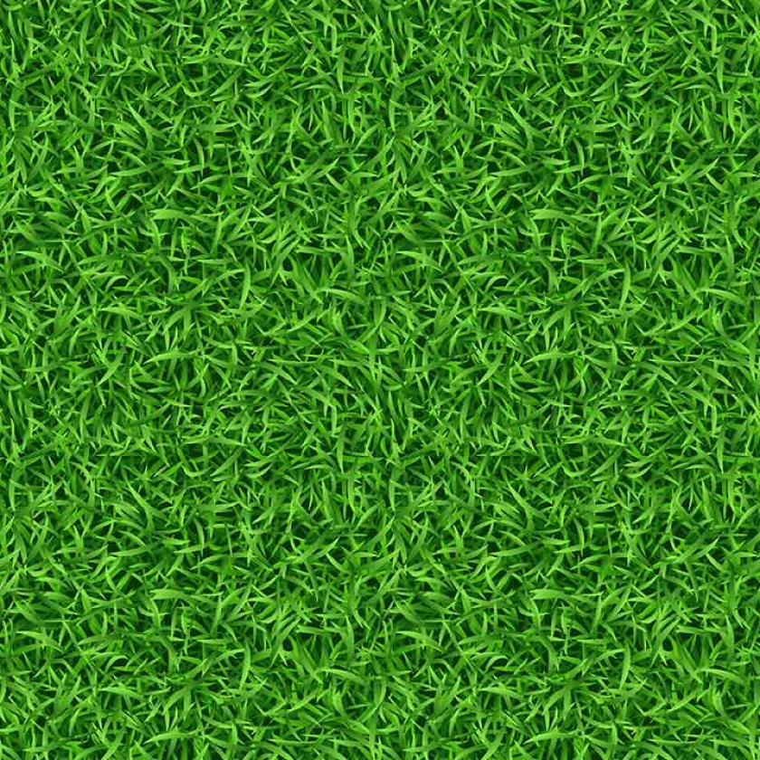 Artificial Grass Turf