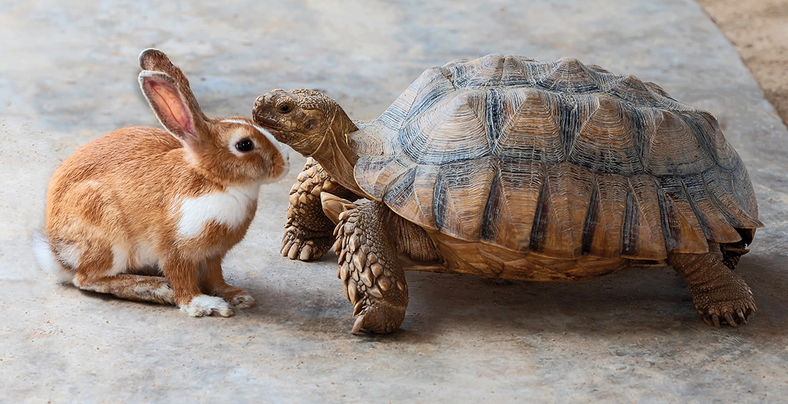 Slow Down to Catch Up