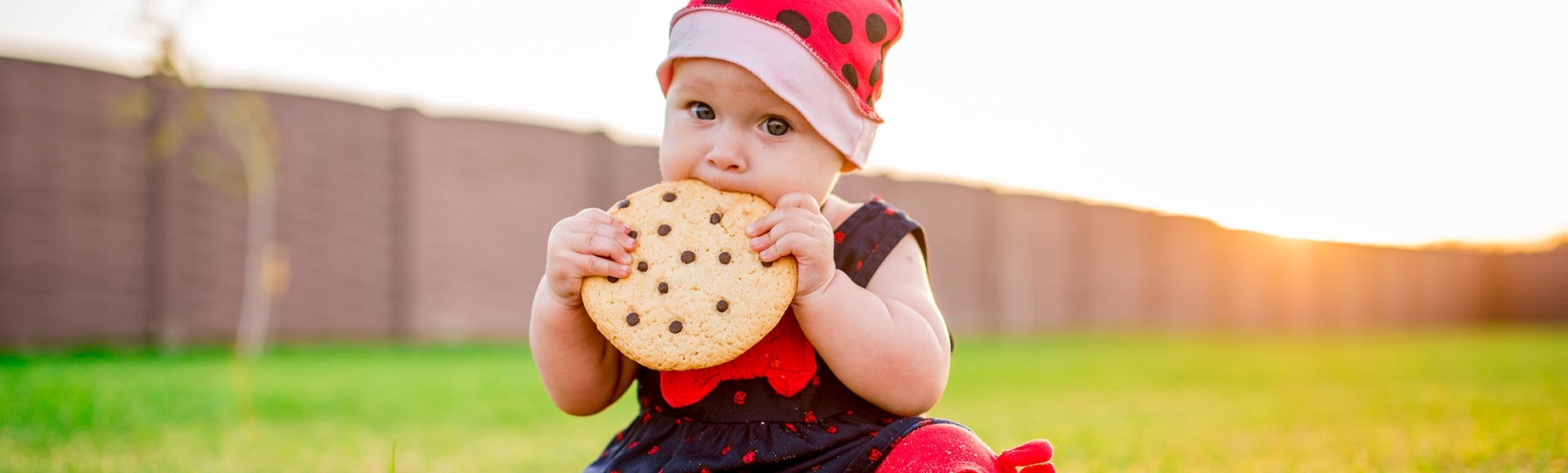 Encouraging your baby to self-feed at 10 to 12 months