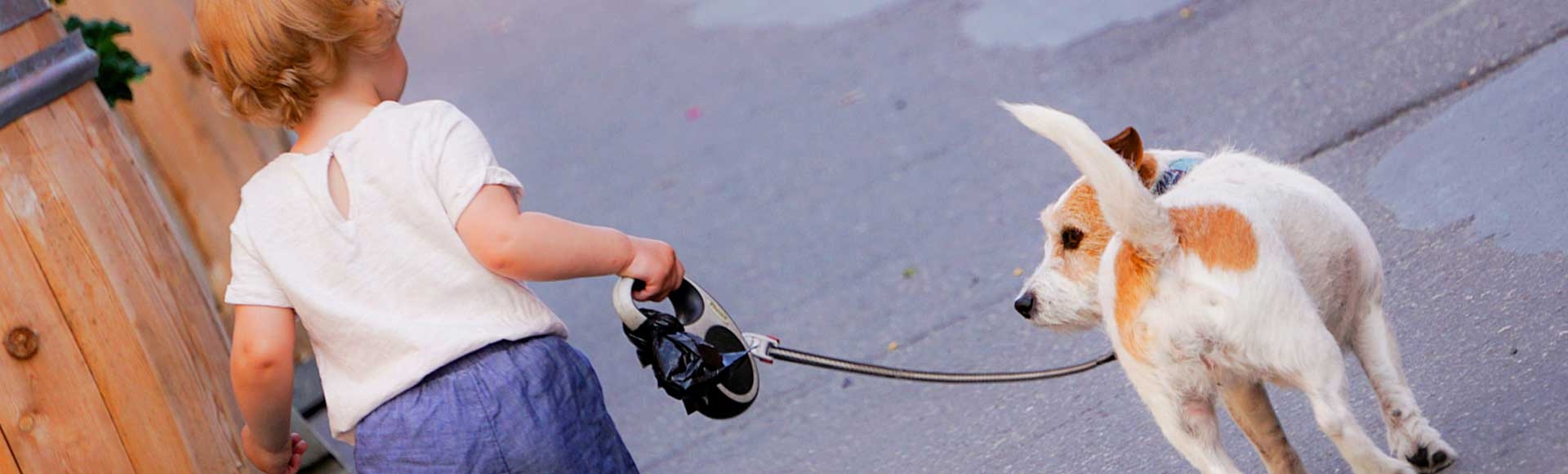 Why Dogs Can Change Children's Lives