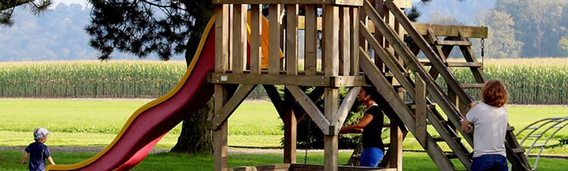 6 Tips To Turn Your Lawn Into A Playground Without Damage