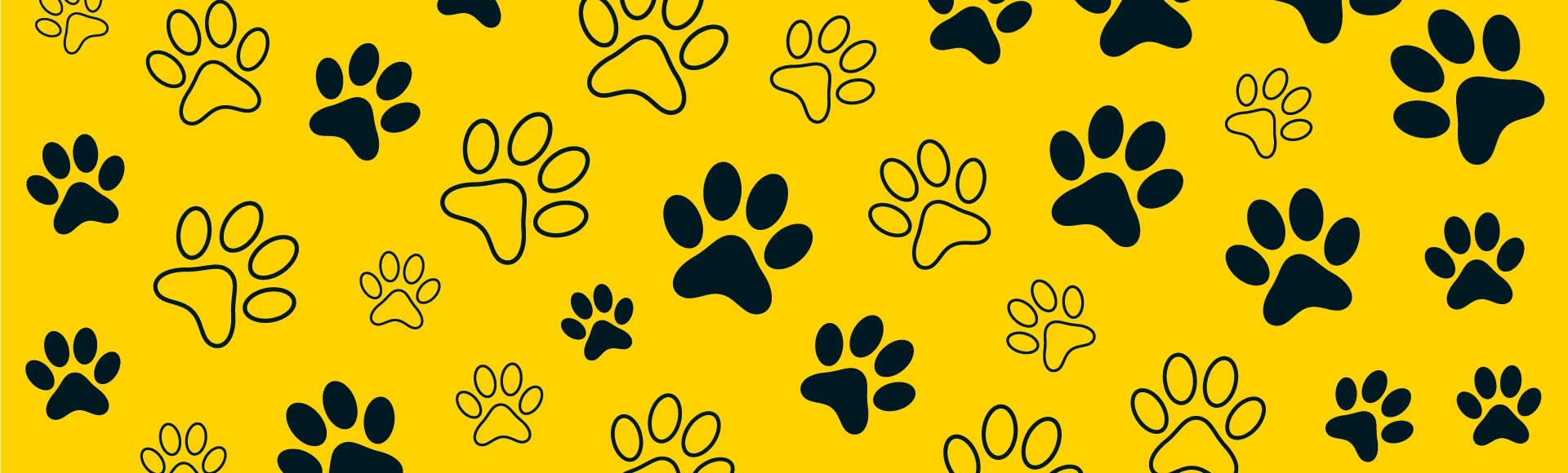 5 Signals That Your Dog is Stressed at a Dog Park