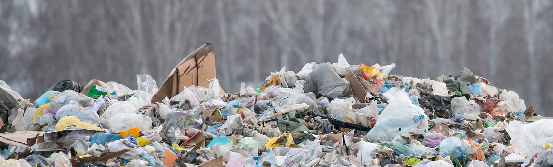 How to Teach Kids About Pollution