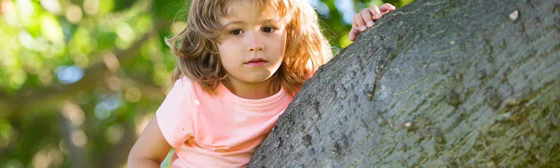 If you build it, they will climb