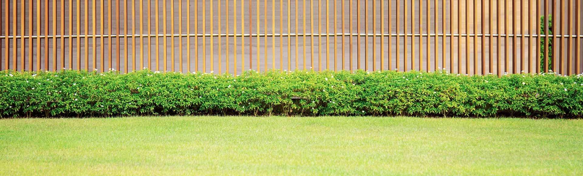 How To Transform Your Backyard Into an Entertainment Zone for Your Kids