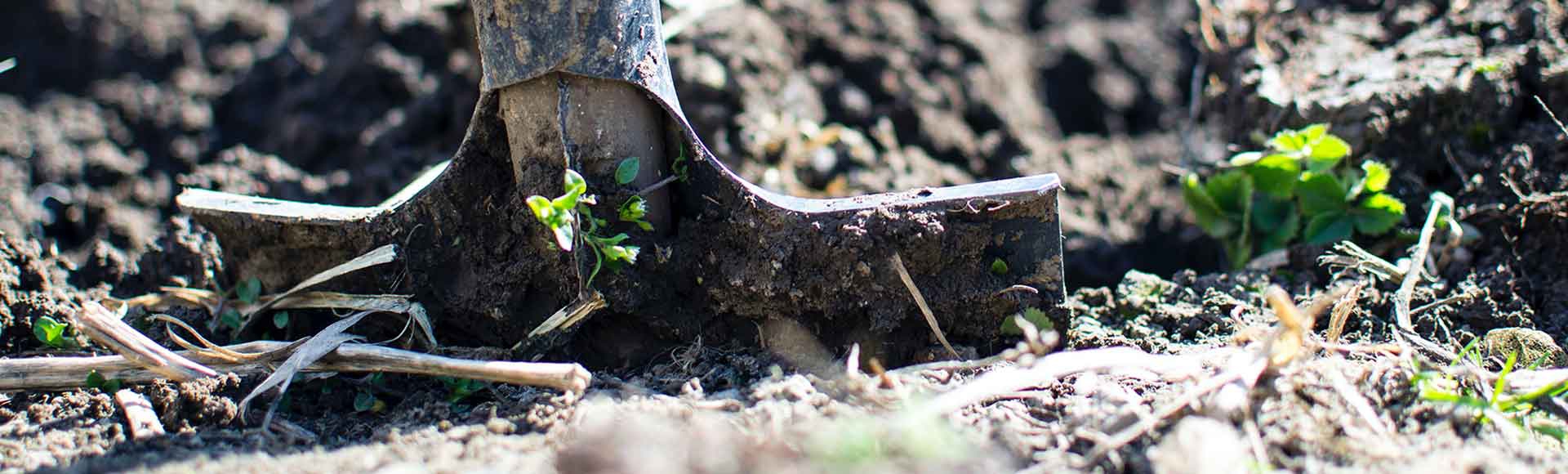 8 Awesome Additions to your Backyard