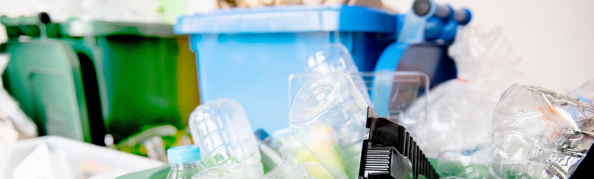 Fun Ways to Raise Eco-Friendly Kids