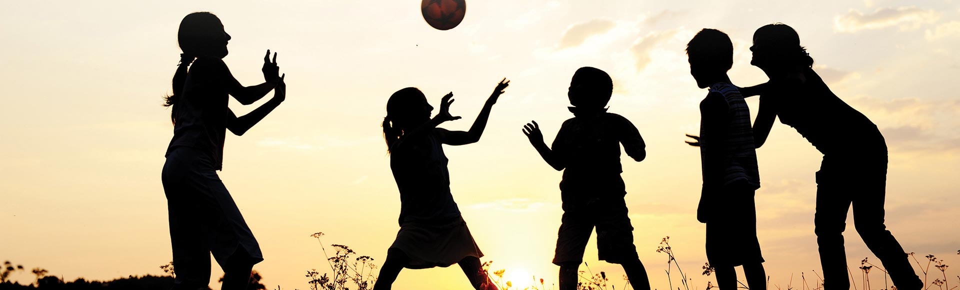 Universal Design and Social Equity in Our Parks & Playgrounds