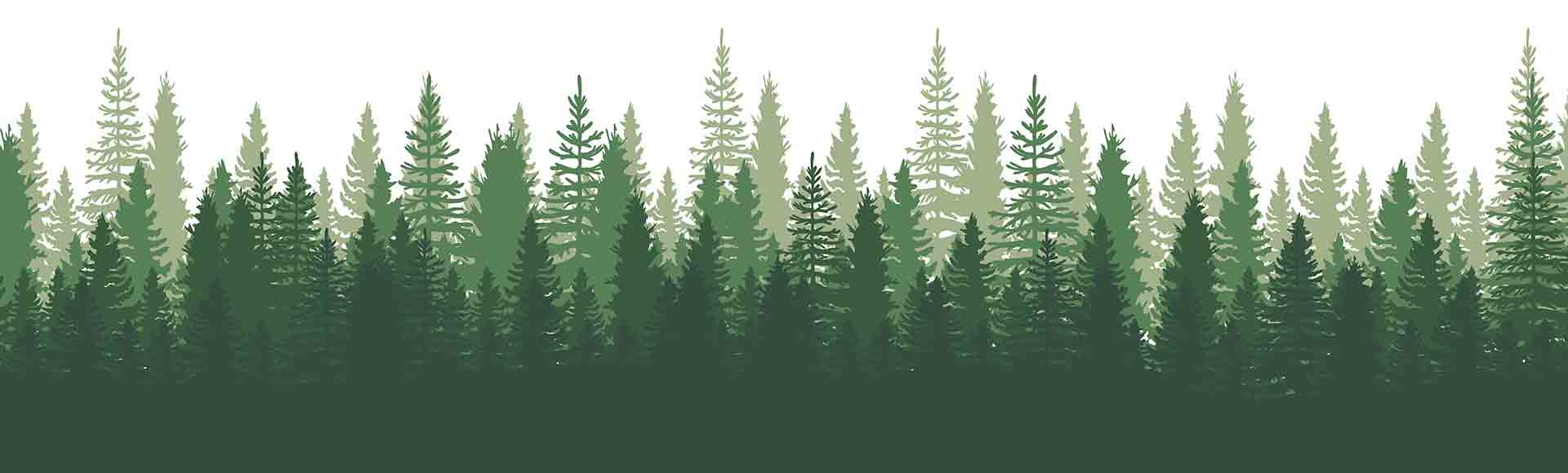 The Changing World of Wooden Playgrounds