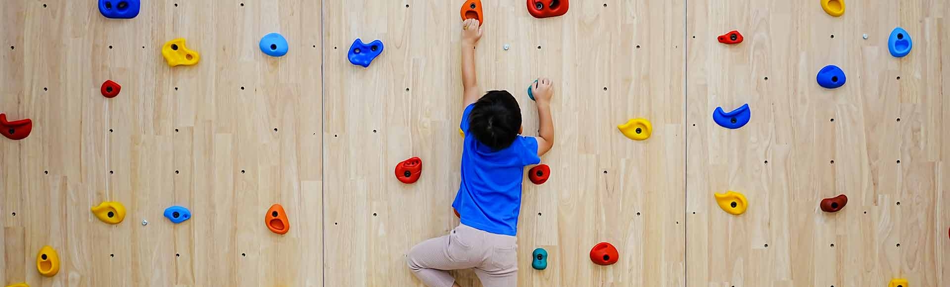 Auditing Climbing Structures and Site Amenities