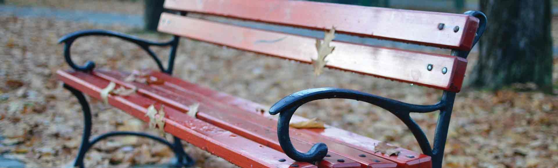 Learn About Your Playground Amenities