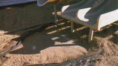 Spring Cleaning - Complete Post-winter Maintenance Before Sunshine