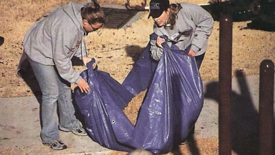 Engineered Wood Surfacing